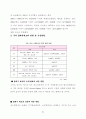 플레시 메모리 사업계획서 21페이지