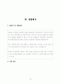 플레시 메모리 사업계획서 42페이지