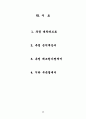플레시 메모리 사업계획서 46페이지