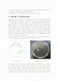 김치속 LAB 분리(isolation of LAB from Kimchi) 7페이지