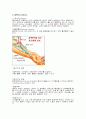 혈액투석 (Hemodialysis) 2페이지