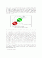 [경마산업]레저시장의 고객성향 조사을 통한 마사회의 마케팅 전략 10페이지