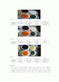 식품의 색소실험 2페이지