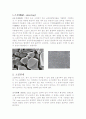 소결(SINTERING) 2페이지