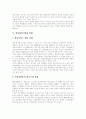 방송영상(방송영상정책, 방송영상시장, 방송영상산업) 방향, 방송영상(방송영상정책, 방송영상시장, 방송영상산업) 원칙,현황,문제점, 방송영상(방송영상정책, 방송영상시장, 방송영상산업) 개선방향,활성화방안 13페이지