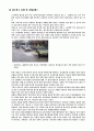 목포시 내수침수 피해현황 원인분석 및 대책 2페이지