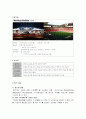 서울 FC 구단 분석 (마케팅 중심) 2페이지