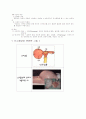 월경장애와 간호 9페이지