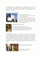 [건축/예술]프랭크 게리 (소개, 해체주의 & 미니멀리적 특성, 작품사례로 본 게리의 건축 해체) 23페이지
