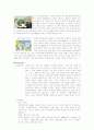 삼성 그룹 조사 보고서 26페이지