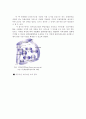 경북의 지역발전 계획 2페이지