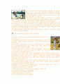 양궁의 모든것 (유래, 역사, 규칙, 시설, 심판, 반칙, 용품, 용어) 2페이지