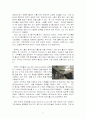 [영국생활과문화] 영국의 교통 체계 2페이지