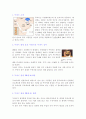 두바이 관광 홍보 2페이지