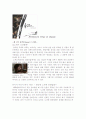 베토벤 바이러스 2페이지