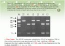 먹이섭취, 지방생성과 성장의 돼지형질과 관련 후보유전자 Melanocortin–4Receptor 6페이지