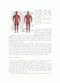 원시 투기의 발달 24페이지