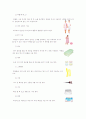 피부 관리 시 사용되는 기구와 비품 2페이지