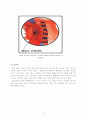 목디스크와 통증의 수기요업적 치료방법 5페이지