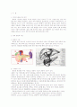 Acute pancreatitis에 대한 사례연구 3페이지