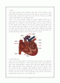 CHF (Congestive Heart Failure) 2페이지