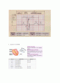 심전도(Electrocardiogram, ECG) 2페이지