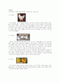 조류의 생활사와 특성 그리고 종류에 대한 조사 5페이지