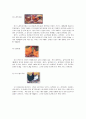 조류의 생활사와 특성 그리고 종류에 대한 조사 7페이지