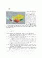 [경제,경영] 카자흐스탄의 이해와 경제적 전망 2페이지