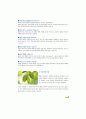직장암 [rectal cancer]+교육자료까지 전부포함 9페이지