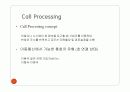Call Processing 3페이지