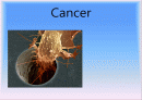 Cancer(암)의 발생용인과 치료 1페이지