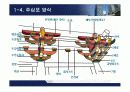 한국건축사 조선시대 건축역사 18페이지
