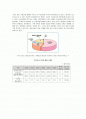 10년간 지구온난화, 온실효과 2페이지