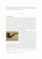 플라톤의 사상으로 본 미학(美學)과 예술론(藝術論) 2페이지