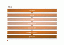 [자기소개서 PPT]파워포인트 자기소개서(나라를 사랑하는 청년-PPT를 이용한 자기소개서 참고용 자료) 2페이지