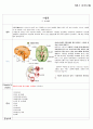 방문간호 뇌졸중(stroke) 환자 케이스 스터디 (case study) 2페이지