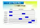 개별화지도모형 11페이지