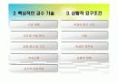 개별화지도모형 17페이지