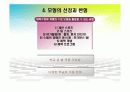 개별화지도모형 18페이지