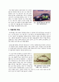 [친환경자동차]친환경자동차(수소연료전지, 하이브리드, 태양광)의 이해, 친환경자동차 기술 개발의 필요성과 장단점 및 발전과제 2페이지
