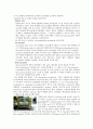β-Galactosidase purification & activity & SDS PAGE 24페이지