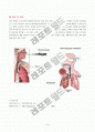 기관지경 검사(Bronchoscopy) 3페이지