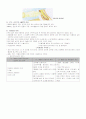 간호사가 알고있어야할 응급실에서 시행되는 처치와 필요한 약물 2페이지