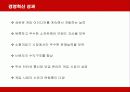 닌텐도(Nintendo)의 경영혁신 성공사례 26페이지
