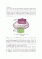 [암논문연구]암에 대해서 그리고 암의 유전적 영향(Inheritance of Cancer - NF, Rb) 2페이지