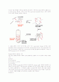 Plasmid DNA 분리의 원리  2페이지