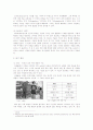 [영상론]보도사진에 나타난 영상의 기호학적 분석- 2005 퓰리쳐 상 수상작을 중심으로 4페이지