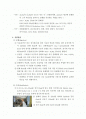 조단백질정량보고서 2페이지