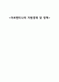 아르헨티나의 자원에대한 경제정책 1페이지